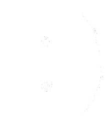 logo animation